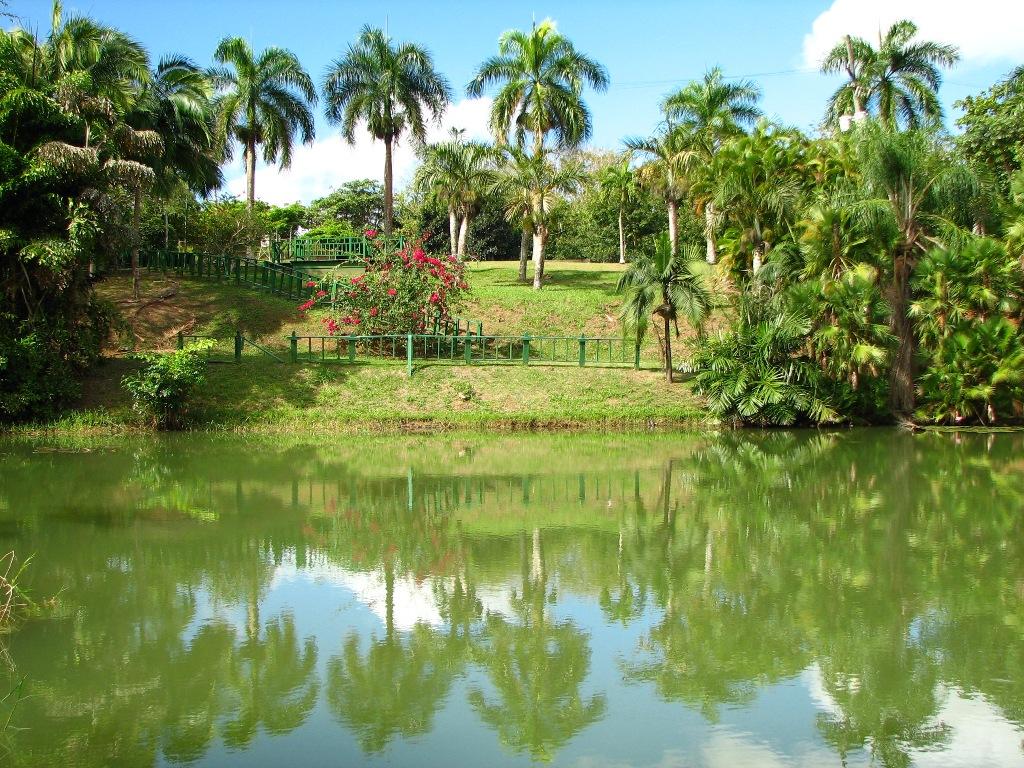 Jardín Botánico